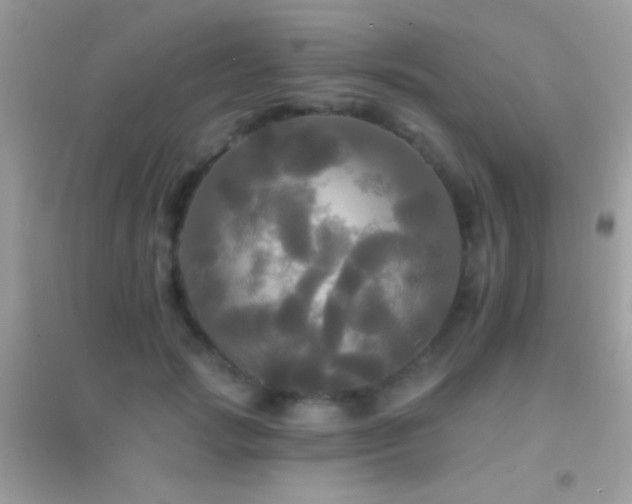 X0000095110749200712071217