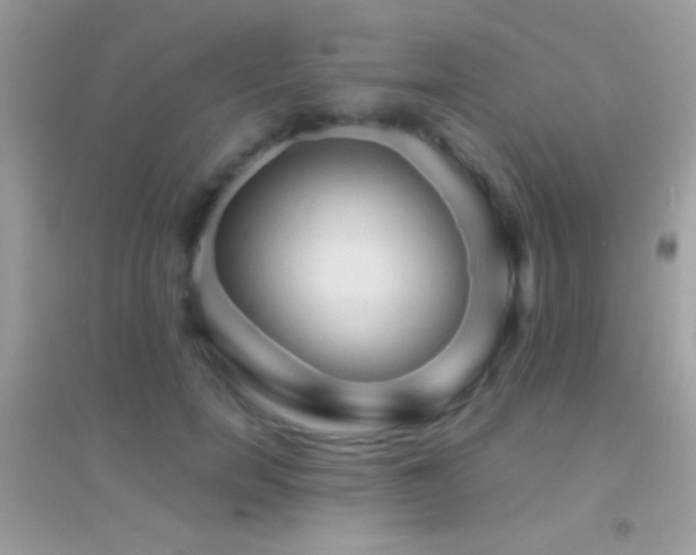 X0000095110750200712071217