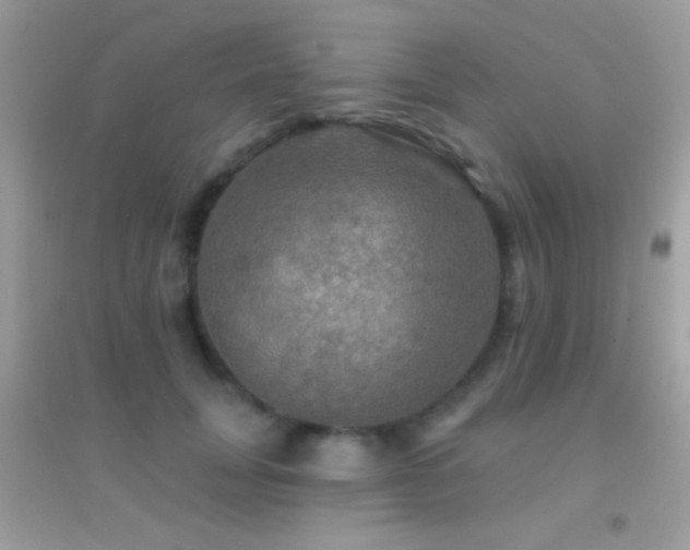 X0000095110751200712071217