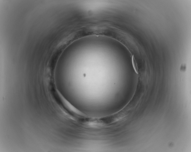 X0000095110752200712071217