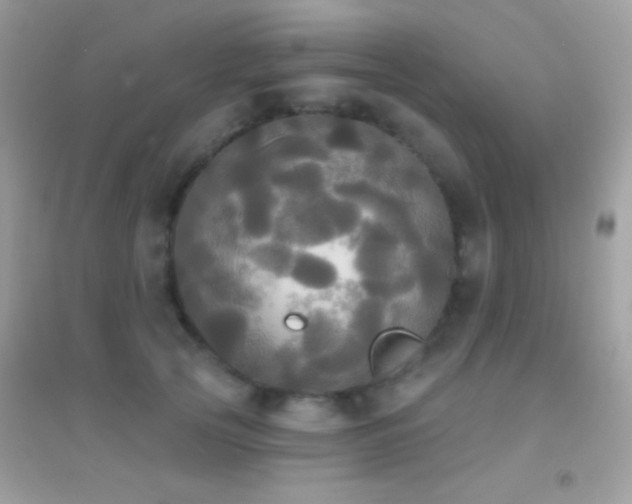 X0000095110753200712071217