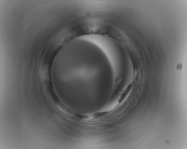 X0000095110754200712071217