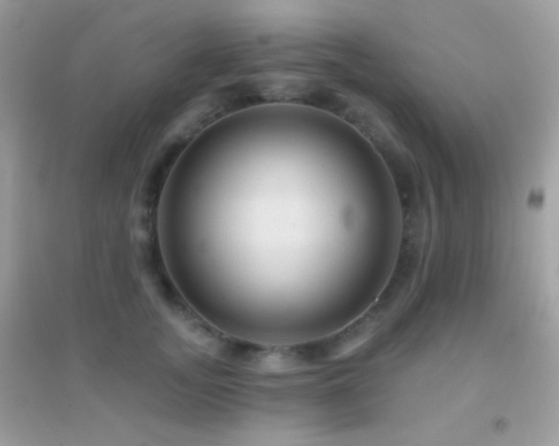 X0000095110755200712071217