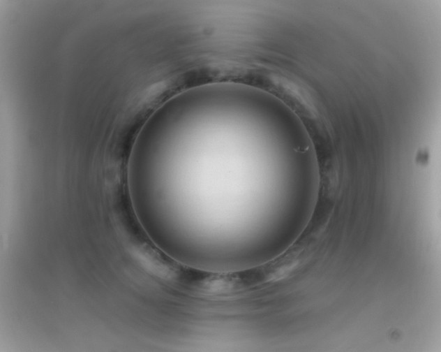 X0000095110756200712071217