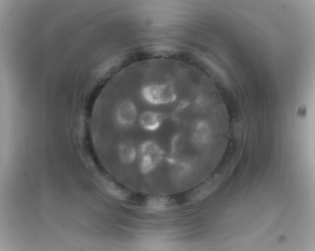 X0000095110757200712071217