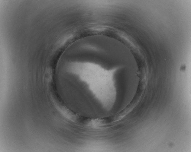 X0000095110758200712071217