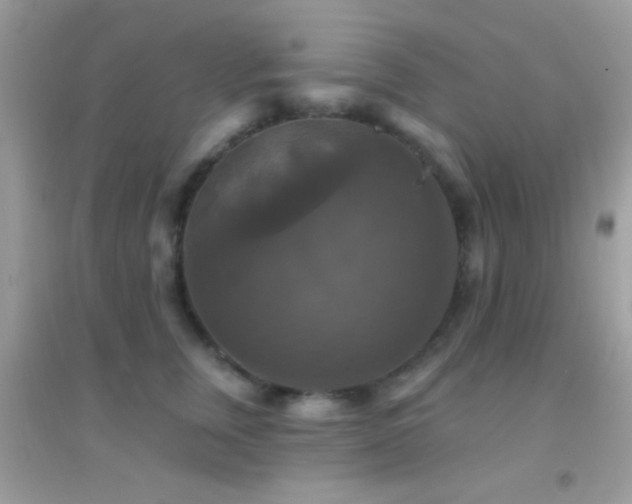 X0000095110759200712071217