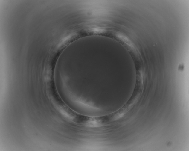 X0000095110760200712071217