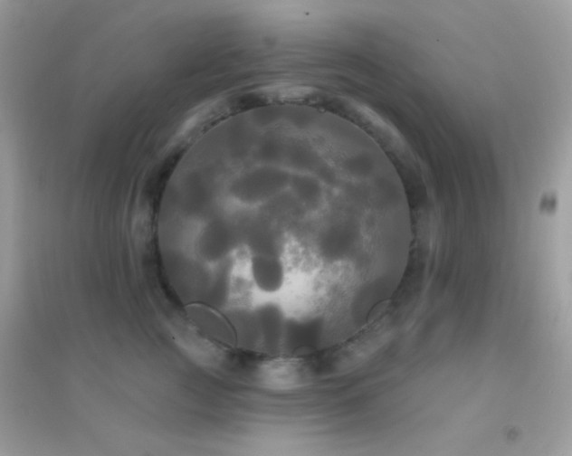 X0000095110761200712071217