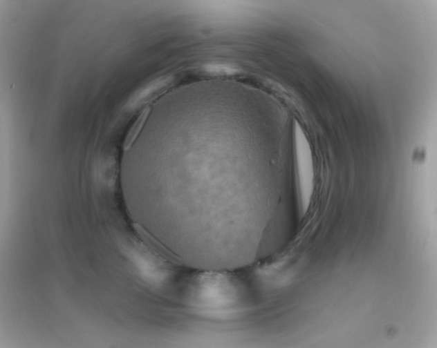 X0000095110762200712071217