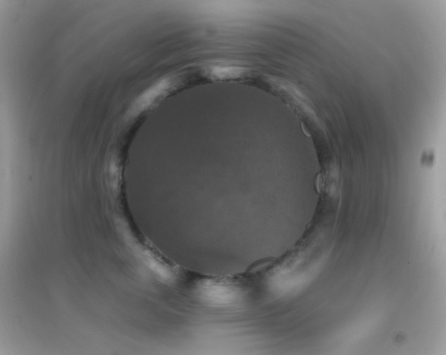 X0000095110763200712071217