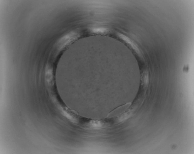 X0000095110764200712071217