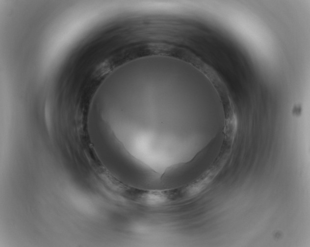 X0000095110765200712071217