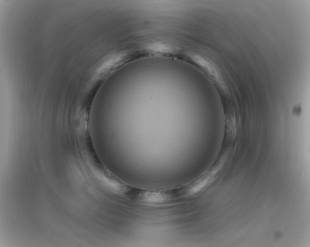 X0000095110766200712071217