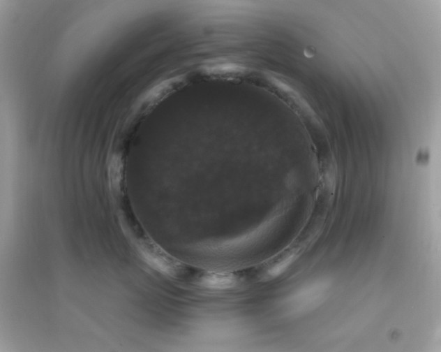 X0000095110767200712071217