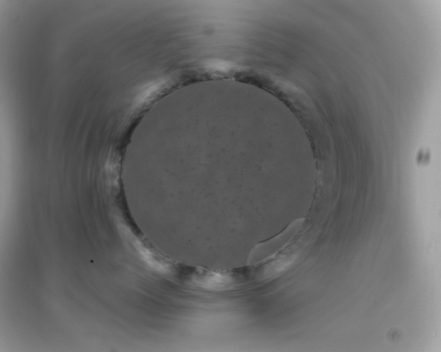 X0000095110768200712071217