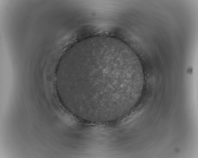 X0000095110769200712071216