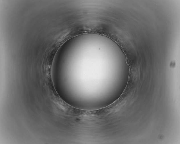 X0000095110770200712071216