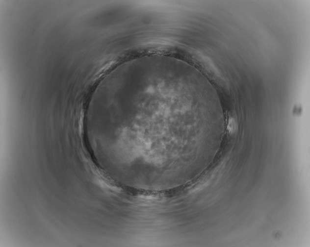 X0000095110771200712071216