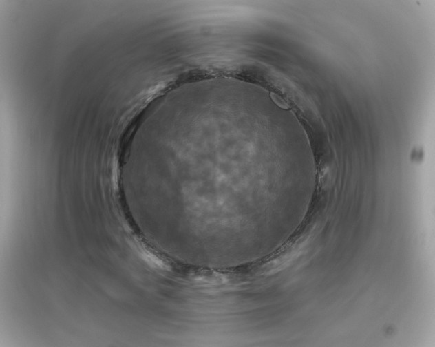 X0000095110772200712071216