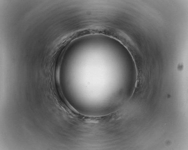 X0000095110773200712071216