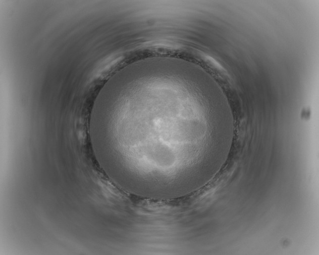 X0000095110774200712071216