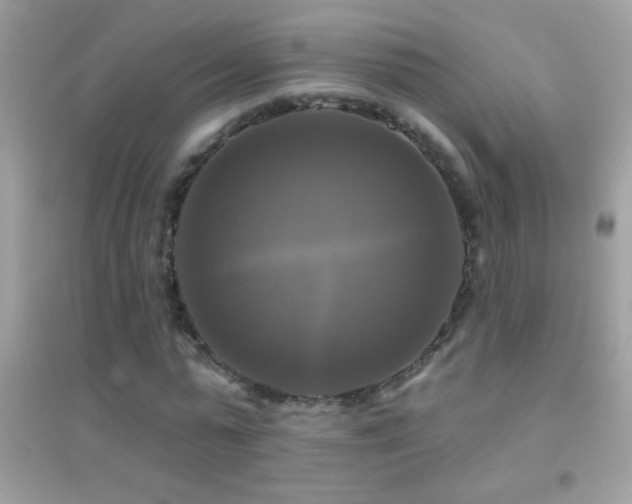 X0000095110775200712071216