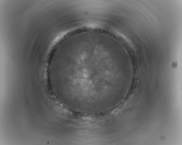 X0000095110776200712071216