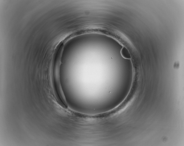 X0000095110777200712071216