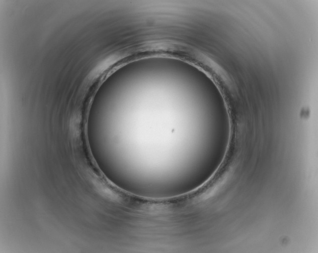 X0000095110778200712071216