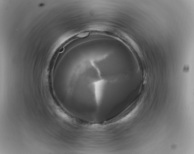 X0000095110779200712071216