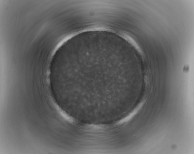 X0000095110781200712071216