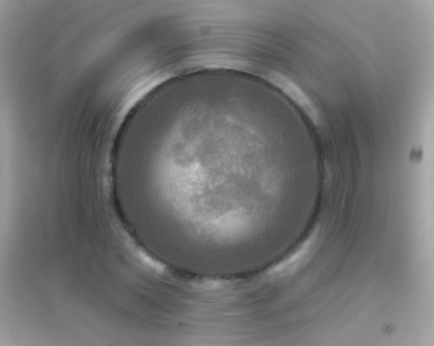 X0000095110782200712071216