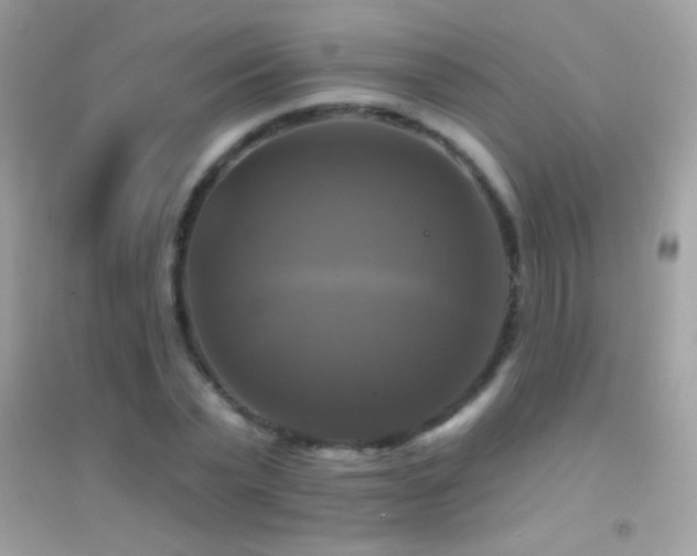 X0000095110783200712071216