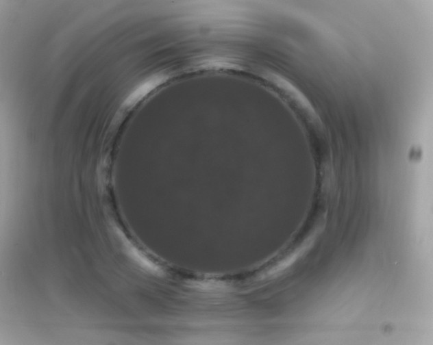 X0000095110785200712071216