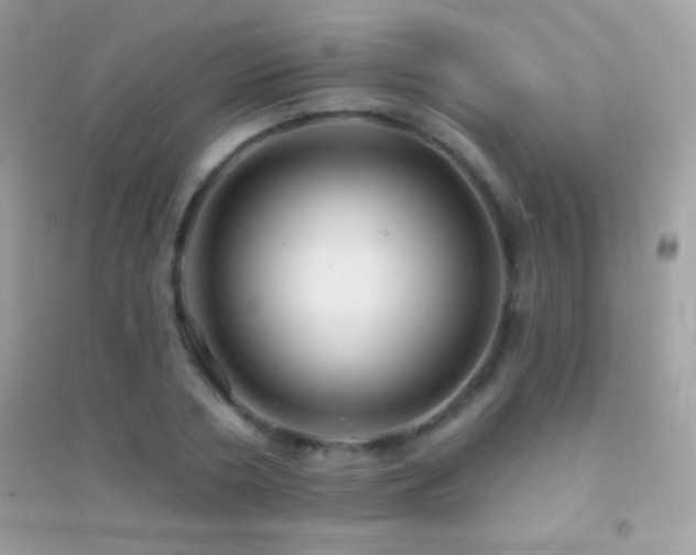 X0000095110786200712071216