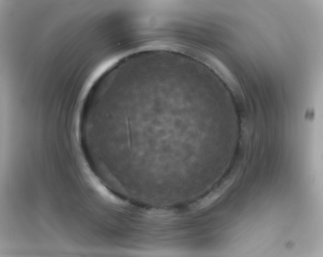 X0000095110788200712071216