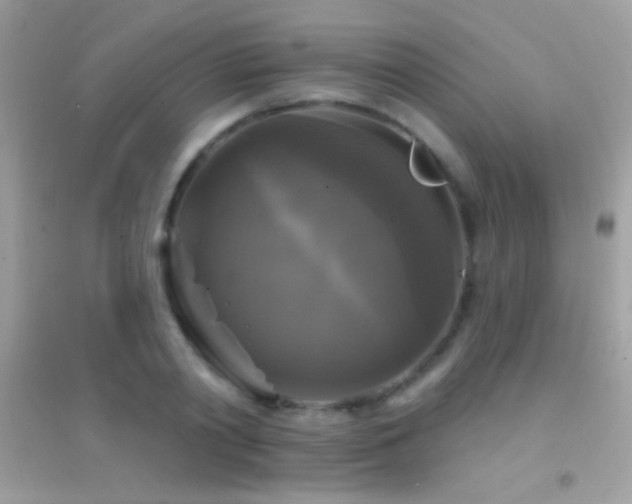 X0000095110790200712071216