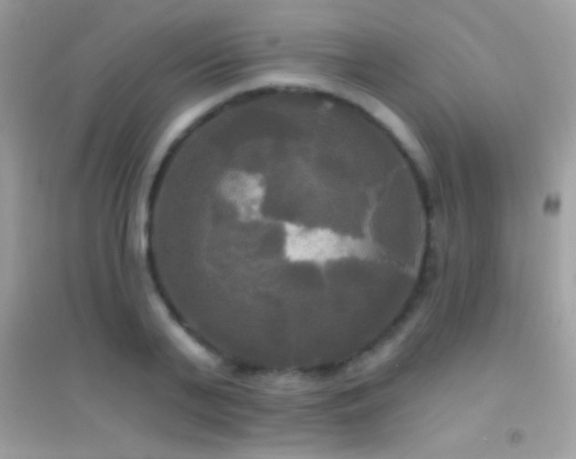 X0000095110791200712071216