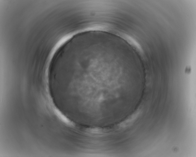 X0000095110792200712071216