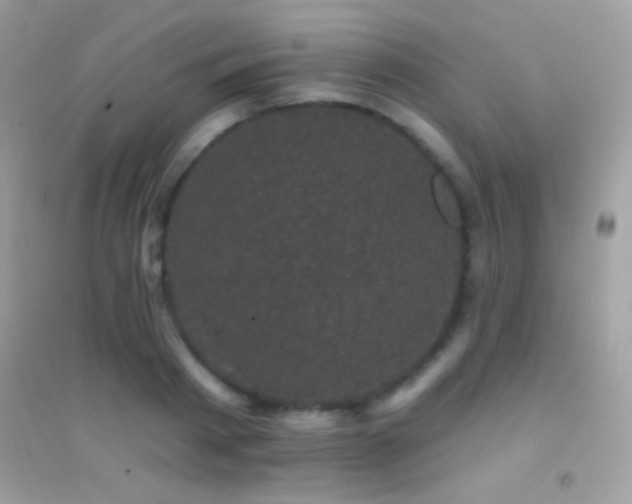 X0000095110793200712071216