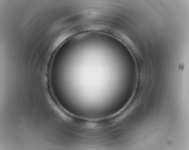 X0000095110794200712071216