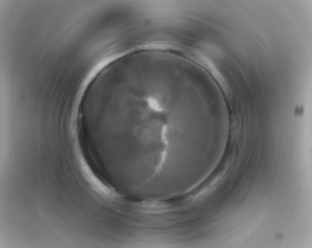 X0000095110795200712071216