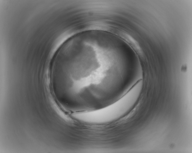 X0000095110796200712071216