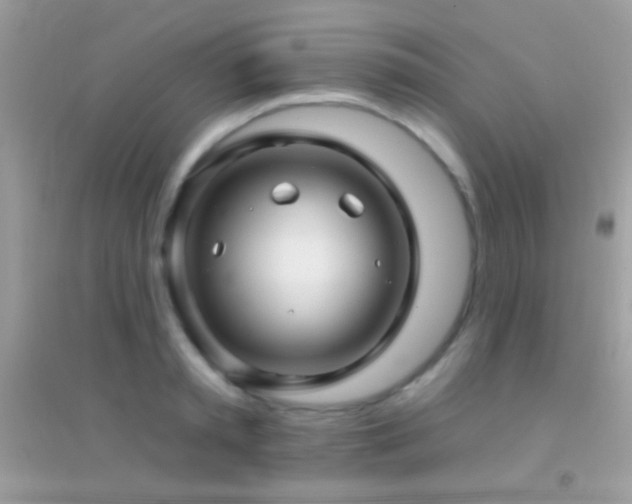 X0000095110797200712071216