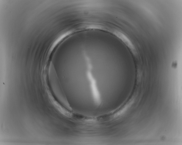 X0000095110798200712071216