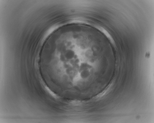 X0000095110799200712071216