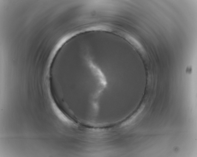 X0000095110800200712071216