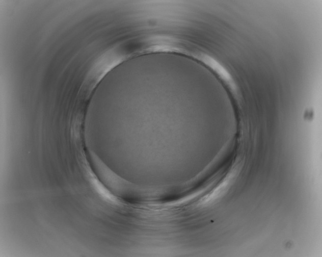 X0000095110801200712071216