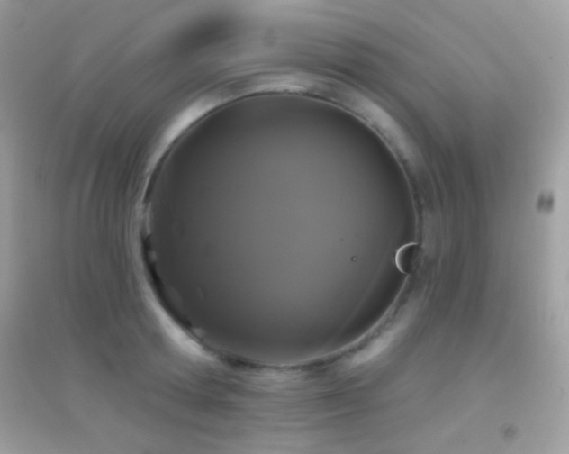 X0000095110802200712071216